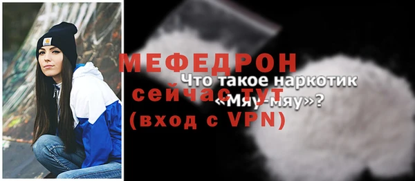 дживик Бородино