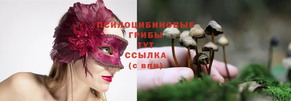 дживик Бородино