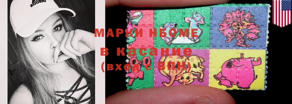 дживик Бородино
