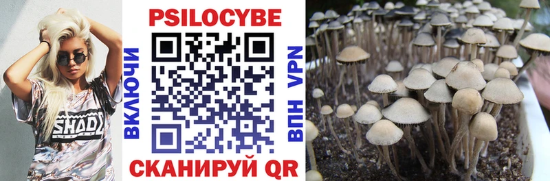 Псилоцибиновые грибы мухоморы  МЕГА   Зеленогорск 
